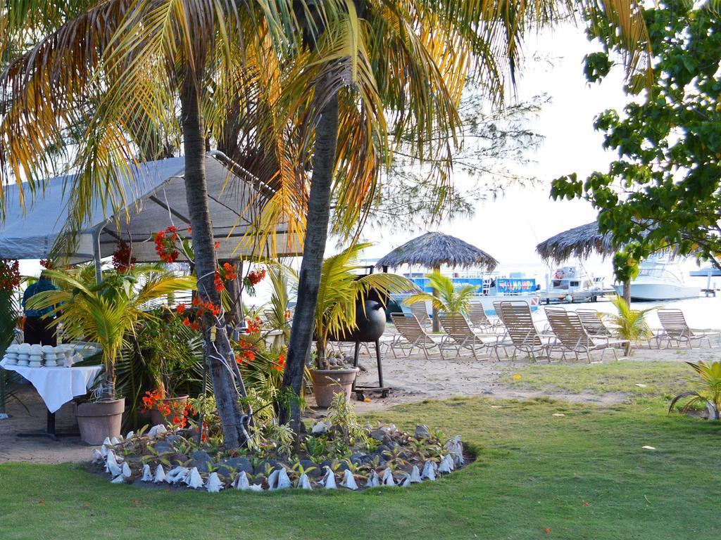 Oualie Beach Resort Νέβις Εξωτερικό φωτογραφία